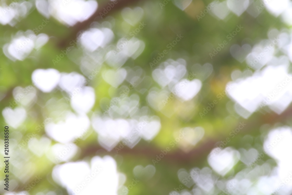 Fototapeta premium Background green tree soft blurred bokeh nature fresh lighting heart-shaped for valentine and forest herbs wallpaper, Soft bokeh nature Background design