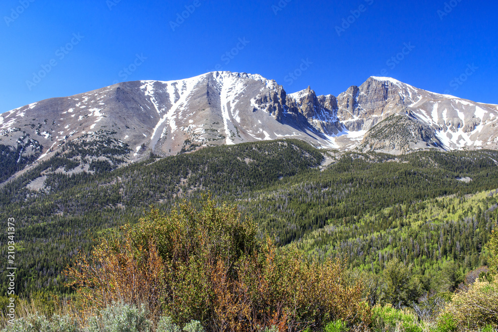 Mount Wheeler in June