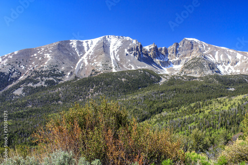 Mount Wheeler in June