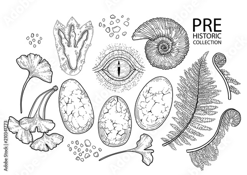 Graphic prehistoric collection