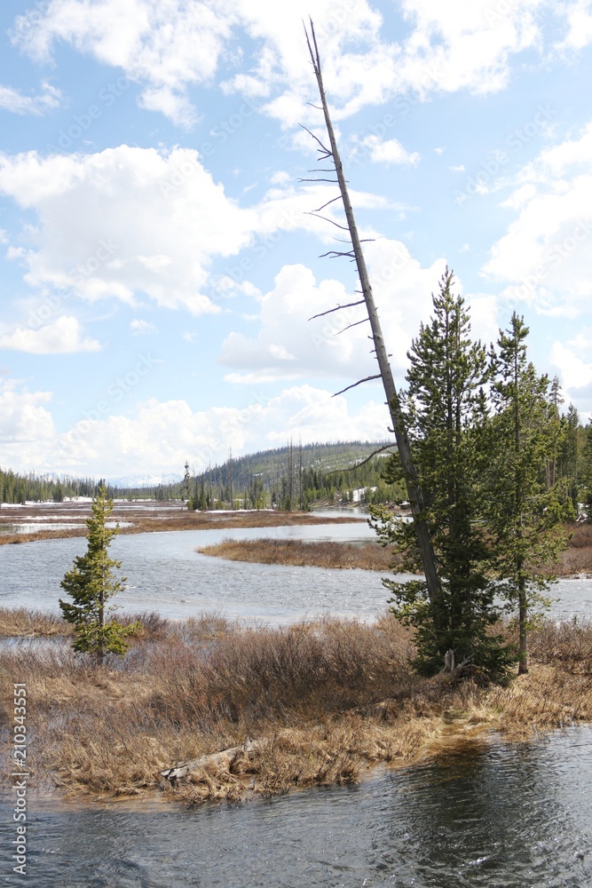 Obraz premium Beautiful Landscape in Yellowstone NP – USA 