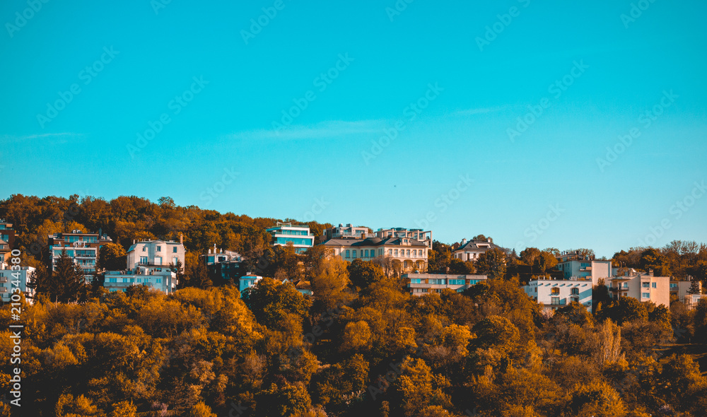 Obraz premium some apartment buildings between thousands of trees in an mountainous scene