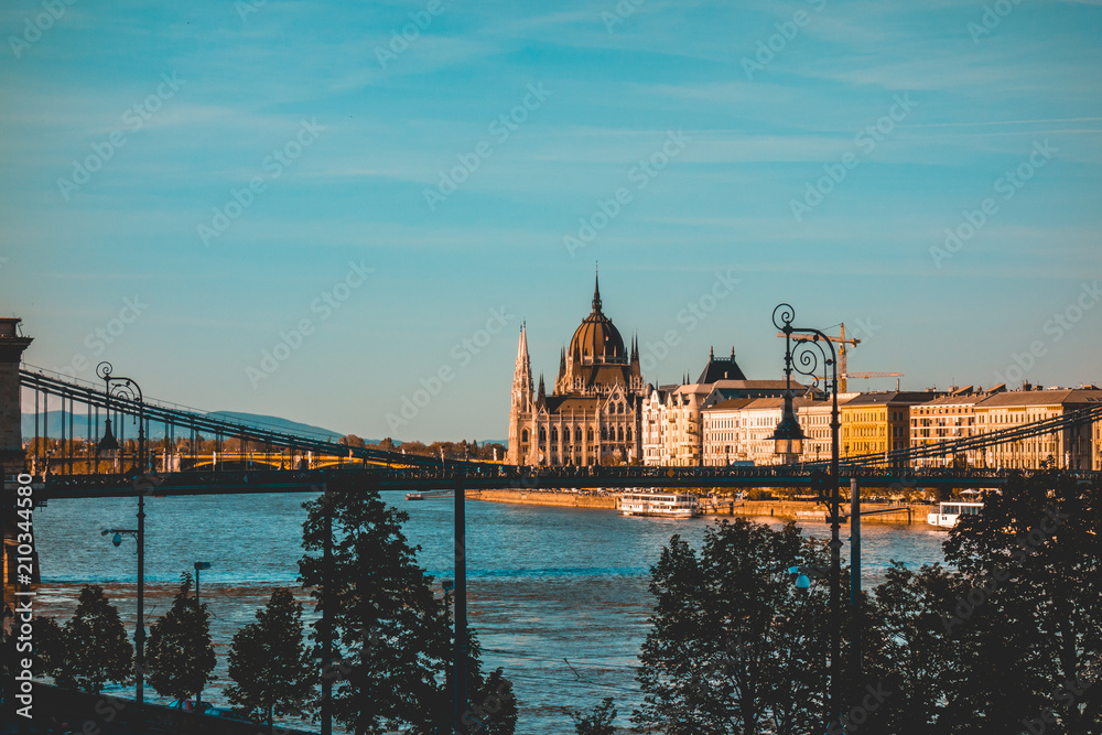 Fototapeta premium danube river with chain bridge and parliament and some silhouettes of trees in the foreground