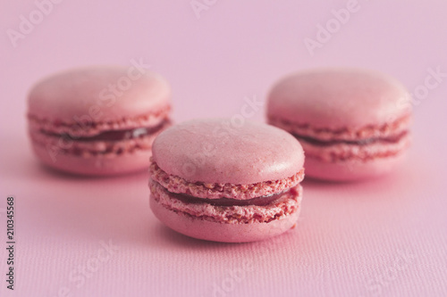 Pink French Macarons on a Pink Background