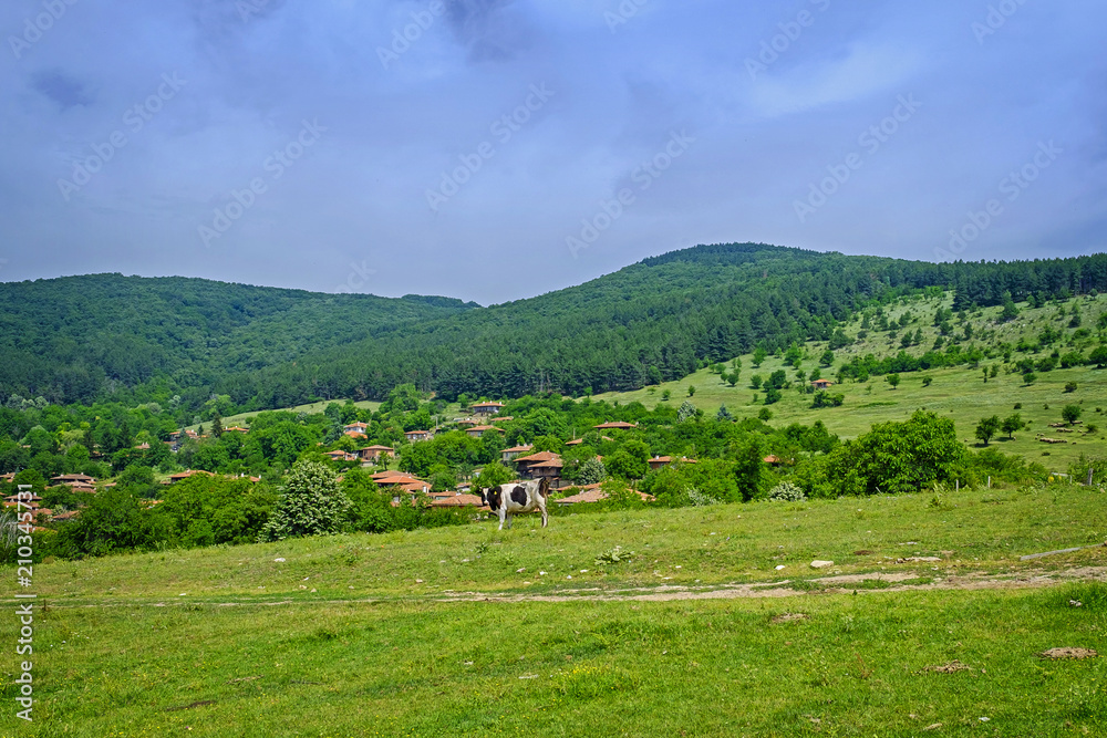 Old authentic village landscape 1