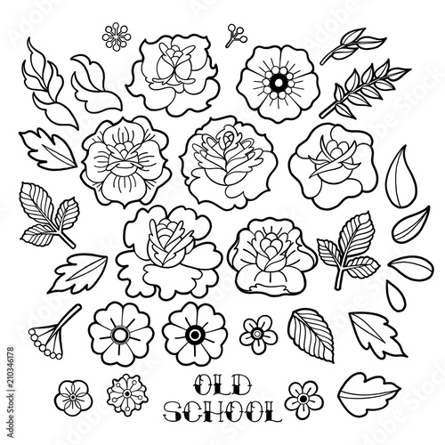 Graphic floral collection