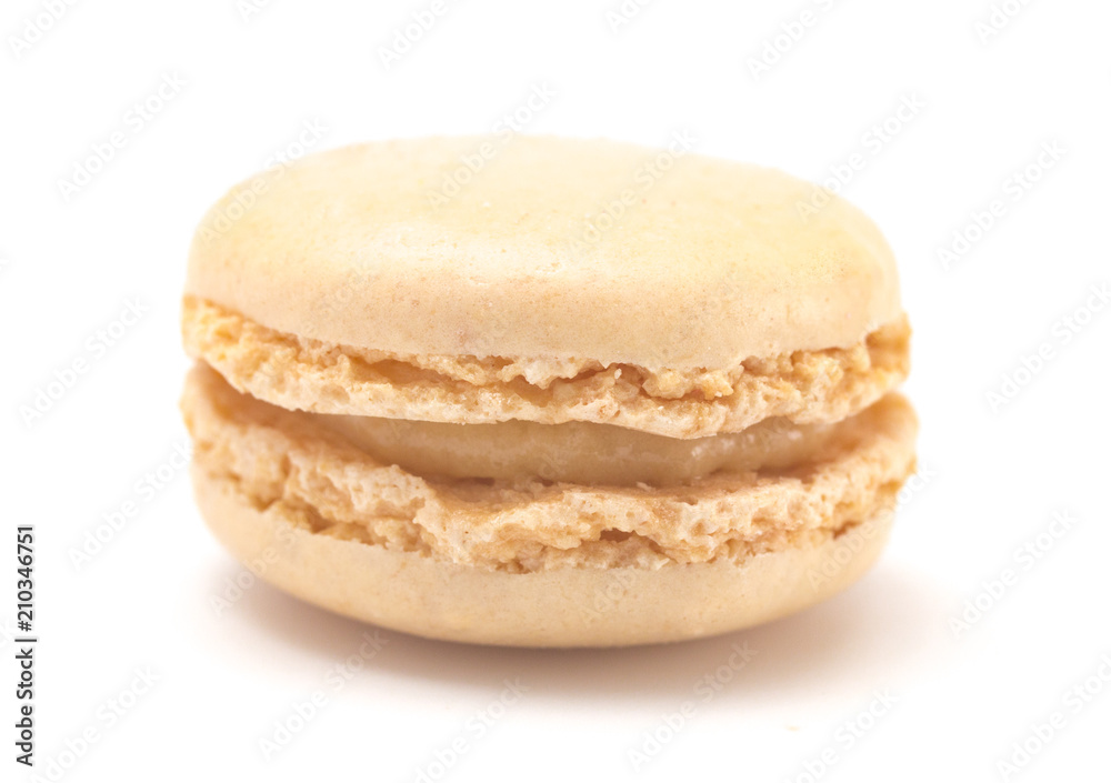Single Vanilla French Macarons on a White Background Single Vanilla French Macarons on a White Background