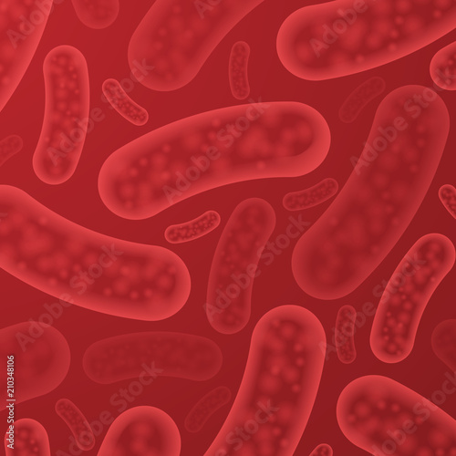 Blood bacterium organisms