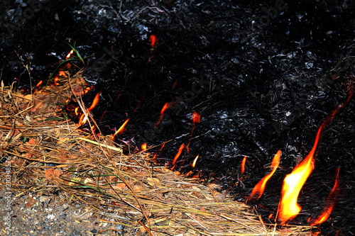 Fire, Fire burning hay (Selective focus) © cgdeaw