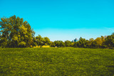 green park at budapest with copy space in the sky