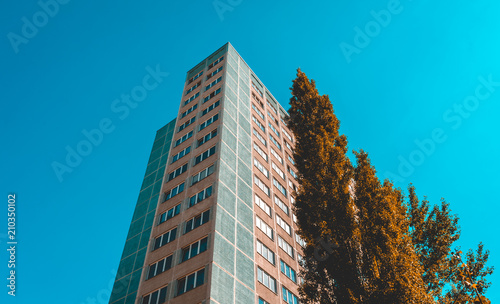 skyscraper from low angle view with big tree on the side