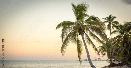 Tranquil Beach Scene © THP Creative