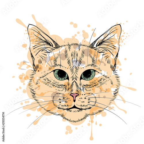 Cat head, vector, black lines