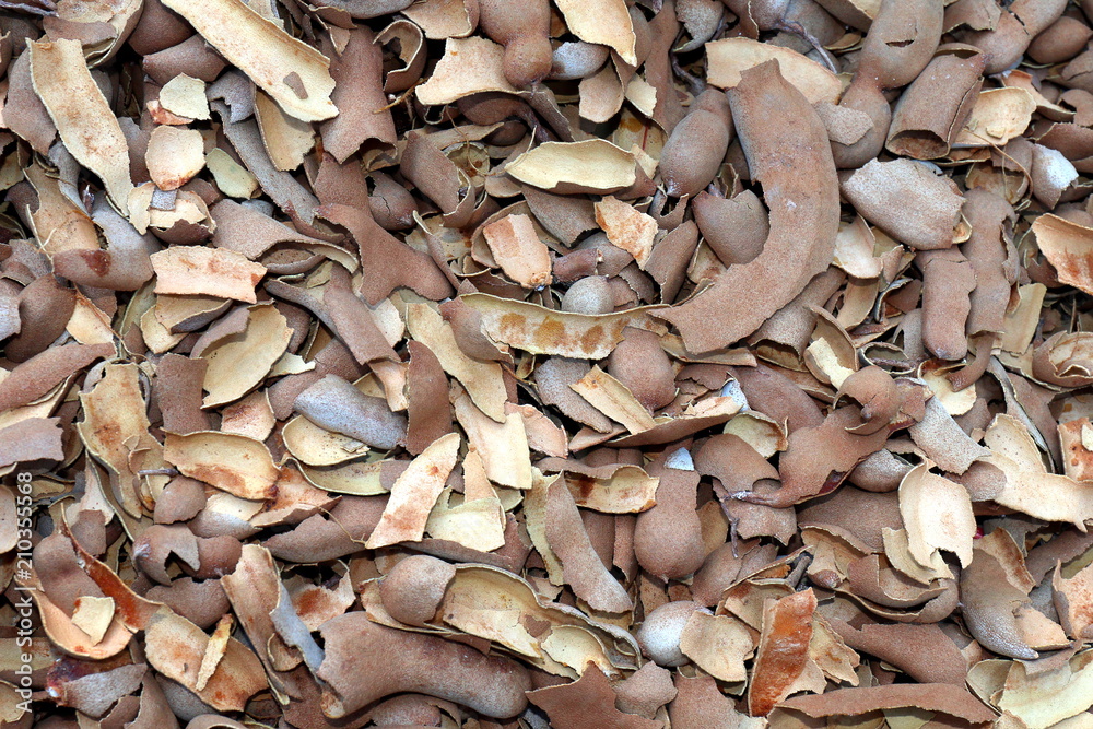 tamarind shell heap, tamarind texture shell background