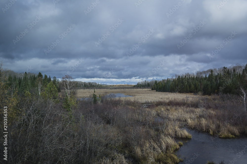 Cloudy day autumn landscape