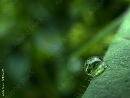 Macro photo: single drop of rain on surface of leaf, with surroundings reflected, glittering against green background.