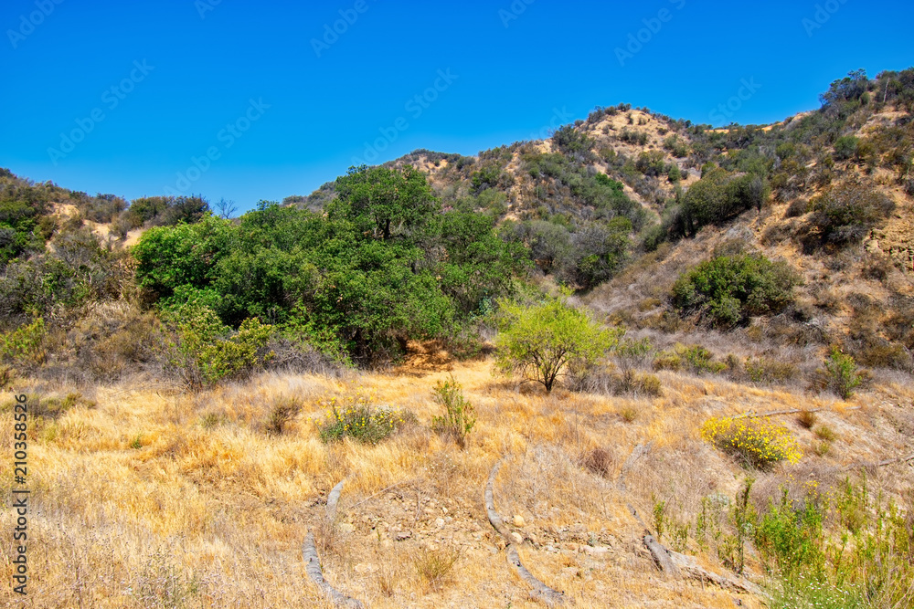 Beginning of hiking trails in southwest mountains on hot summer morning Beginning of hiking trails in southwest mountains on hot summer morning