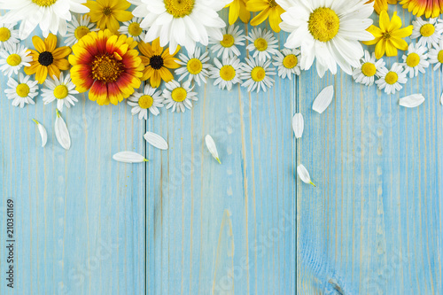 Fototapeta Naklejka Na Ścianę i Meble -  White daisies and garden flowers on a light blue worn wooden table. The flowers are arranged in the upper part, the empty space left below.