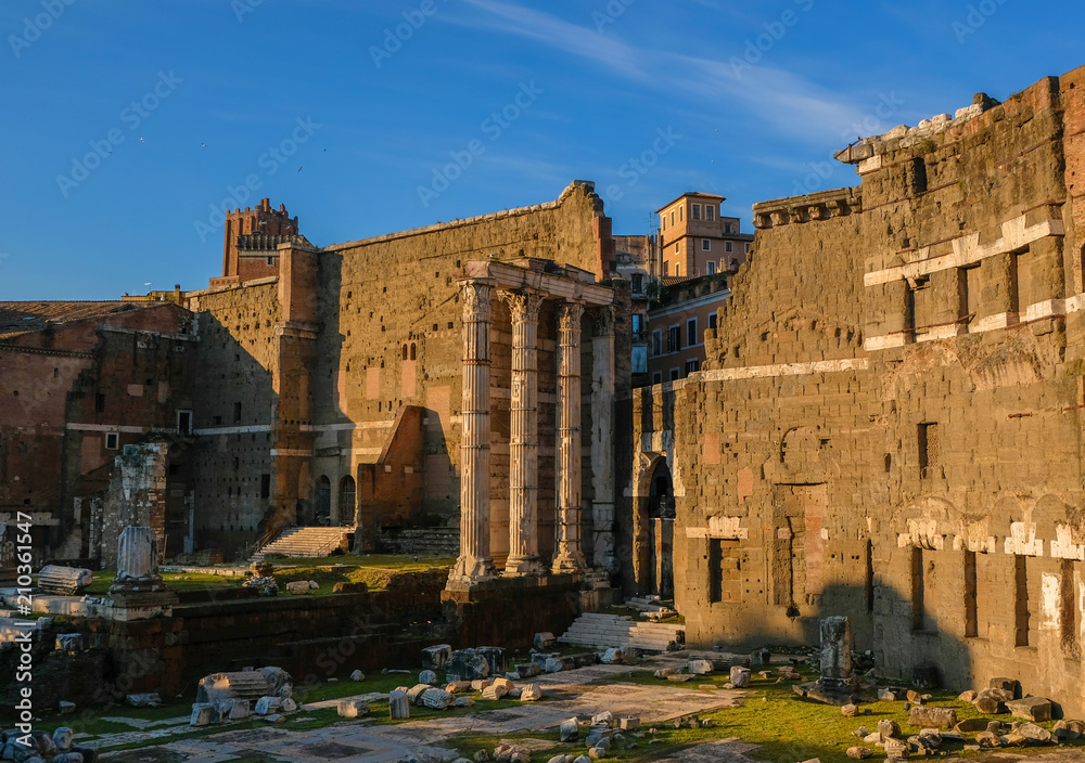 Fototapeta premium Rome, Italy. The ruins
