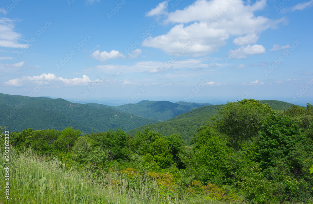 Shenandoah National Park's  meadows and mountains on Blue sky and clouds background during the summertime. Virginia, USA