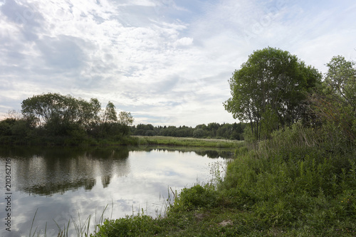 A picturesque pond with overgrown green banks and clouds in the blue sky. Sunny summer morning.