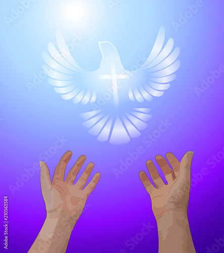 Hands reaching up in prayer towards a symbolized white dove with a cross in a purple and blue sky.