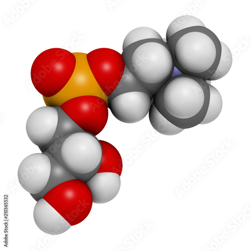 Alpha-GPC (L-Alpha glycerylphosphorylcholine, choline alfoscerate) molecule.  3D rendering. Atoms are represented as spheres with conventional color coding: hydrogen (white), carbon (grey), etc photo