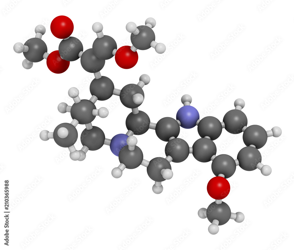 Mitragynine molecule. Herbal alkaloid present in kratom (ketum, Mitragyna speciosa). 3D rendering. Atoms are represented as spheres with conventional color coding: hydrogen (white), carbon (grey), etc Mitragynine molecule. Herbal alkaloid present in kratom (ketum, Mitragyna speciosa). 3D rendering. Atoms are represented as spheres with conventional color coding: hydrogen (white), carbon (grey), etc