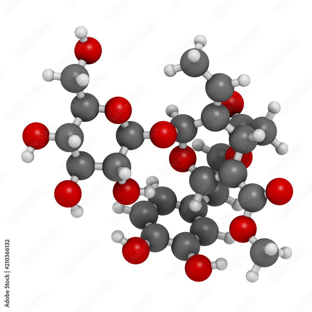 Oleuropein olive component molecule. In part responsible for pungency of virgin olive oil, may have beneficial properties. 3D rendering. Atoms are represented as spheres. Oleuropein olive component molecule. In part responsible for pungency of virgin olive oil, may have beneficial properties. 3D rendering. Atoms are represented as spheres.