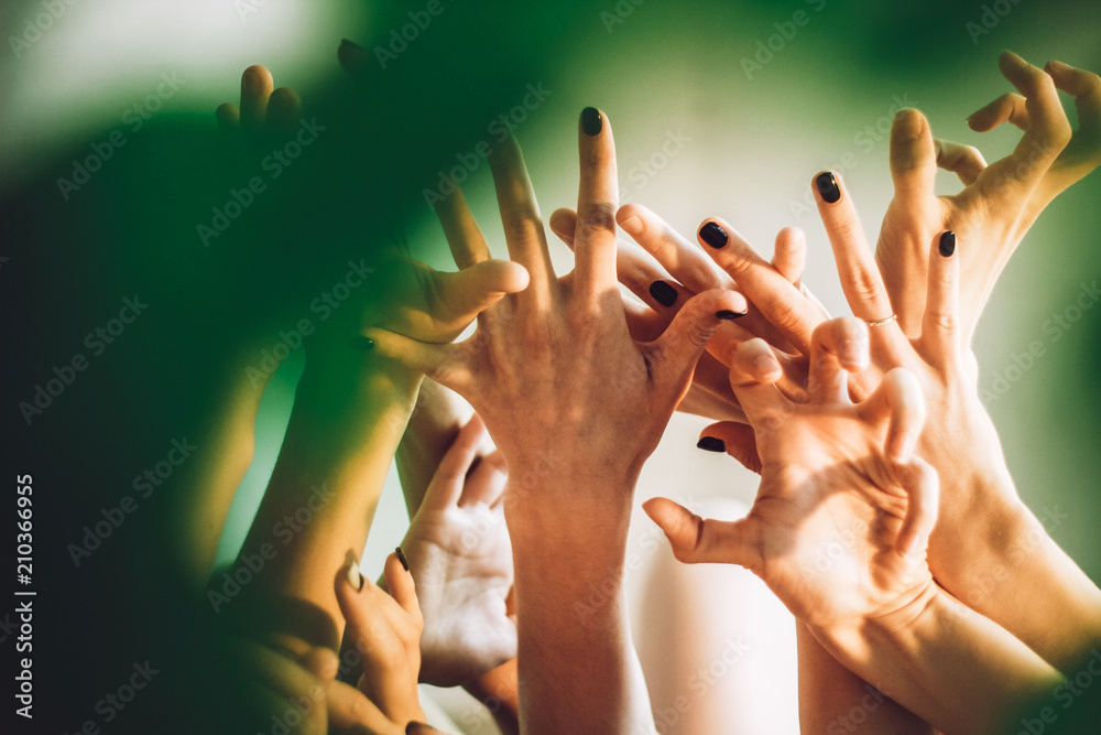 Teamwork people group hands hand fingers arms wrists forest nature plants skin Teamwork people group hands hand fingers arms wrists forest nature plants skin