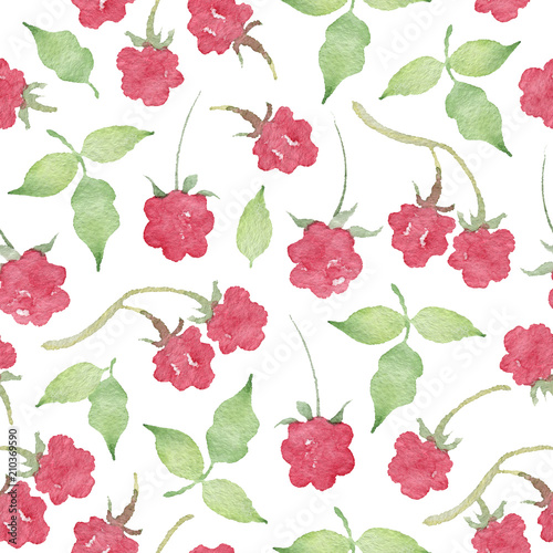Watercolor Seamless Pattern with Raspberry Isolated on White Background