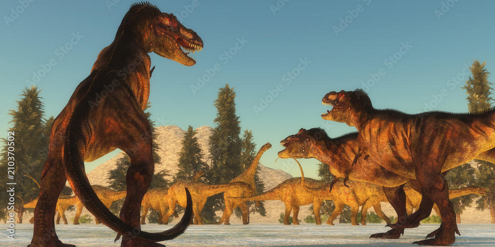 Fototapeta premium Atak Tyrannosaurus - Stado Tyrannosaurus rex planuje atak na stado dinozaurów Uberabatitan i szuka najsłabszego członka.