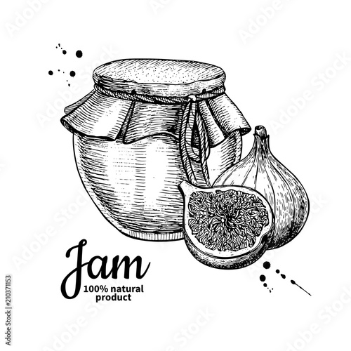Fig jam glass jar vector drawing.  Fruit Jelly and marmalade.  H