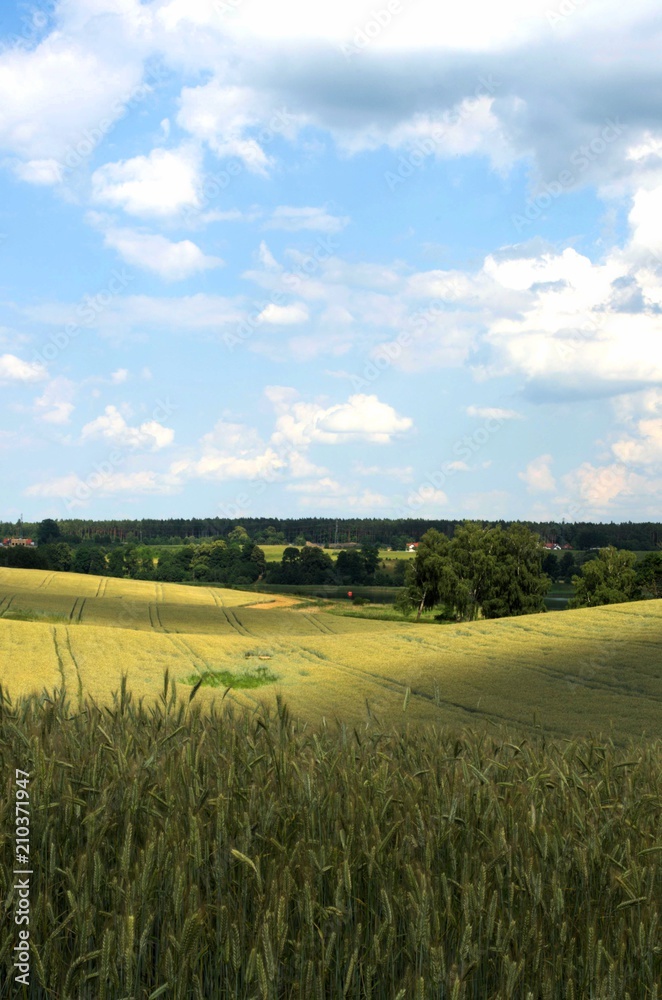 Fototapeta premium Warmia_2018