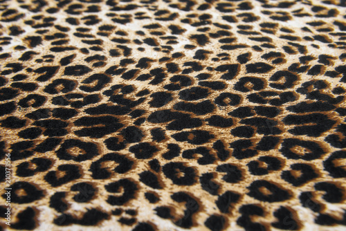 wild animal pattern background or texture