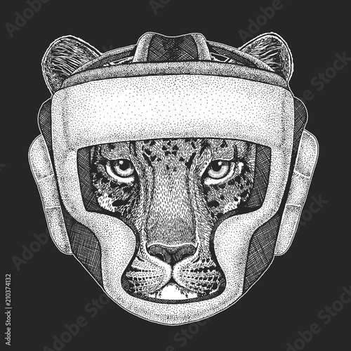 Athletic animal Boxing champion. Wild cat Leopard Cat-o'-mountain Panther Print for t-shirt, emblem, logo. Martial arts. Vector illustration with fighter. Sport competition.