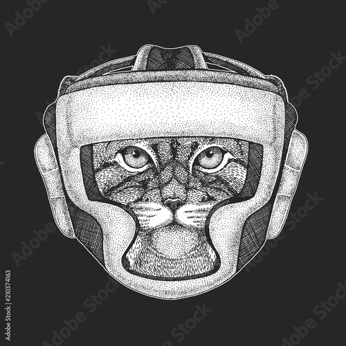 Athletic animal Wild cat Manul Boxing champion. Print for t-shirt, emblem, logo. Martial arts. Vector illustration with fighter. Sport competition.