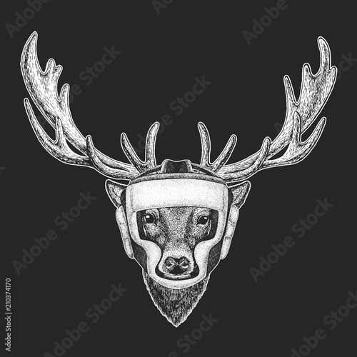 Athletic animal Deer Boxing champion. Print for t-shirt, emblem, logo. Martial arts. Vector illustration with fighter. Sport competition.