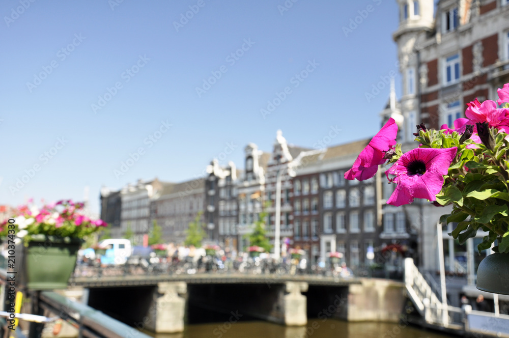 historical and tourist center of Amsterdam, the promenade on the background of flowers and the bridge
