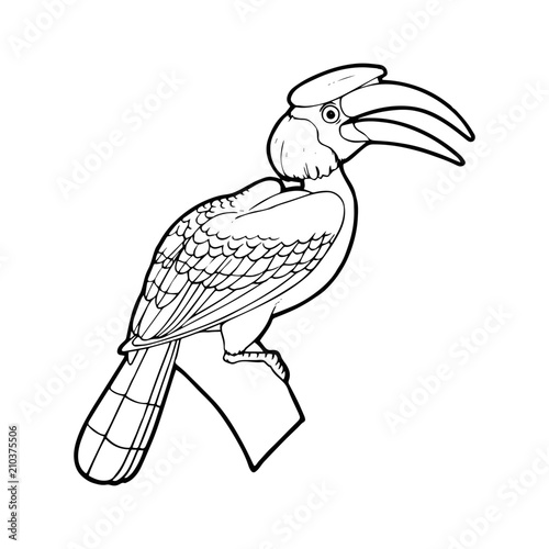 Bird cartoon illustration isolated on white background for children color book