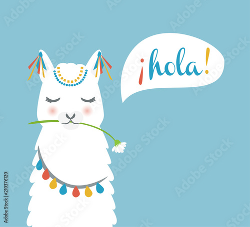Cute llama head saying hola. Llama face for poster, cards and invitations vector illustration.