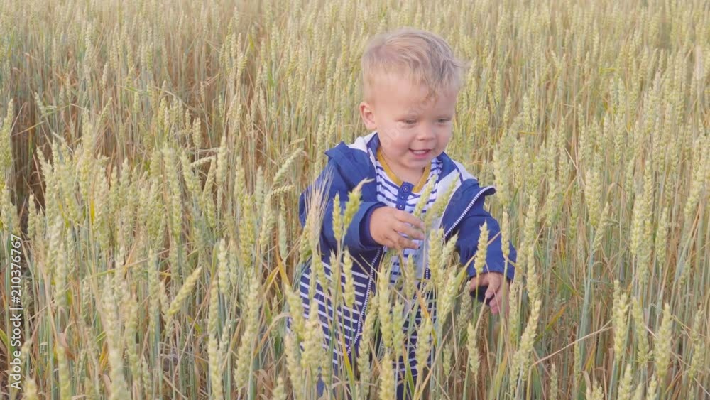 Happy young boy running on field with wheat at sunny day. concept of Small farmer. Happy young boy running on field with wheat at sunny day. concept of Small farmer.