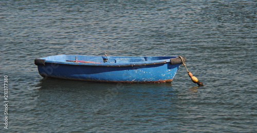 Pequeno barco azul parado no meio de um rio