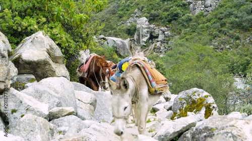 Santa Cruz Trekking Huaraz Mountains Peru with breathtaking views photo