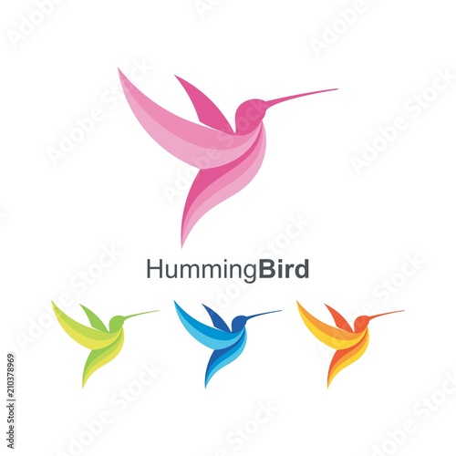 Modern Hummingbird Logo Template Design Vector Illustration