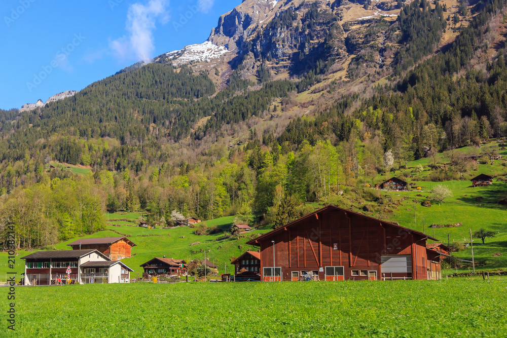 Beautiful nature view on the way to Grindelwald Beautiful nature view on the way to Grindelwald