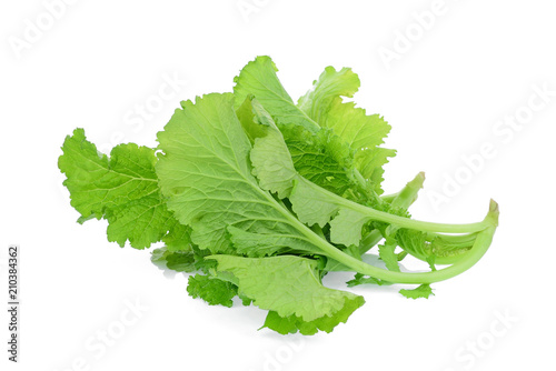 green mustard vegetable isolated on white background