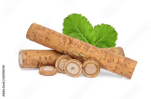 burdock roots or kobo with green leaves isolated on white background