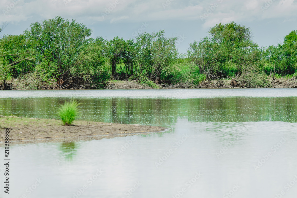 a  green hummock on a still waterside with trees on the background