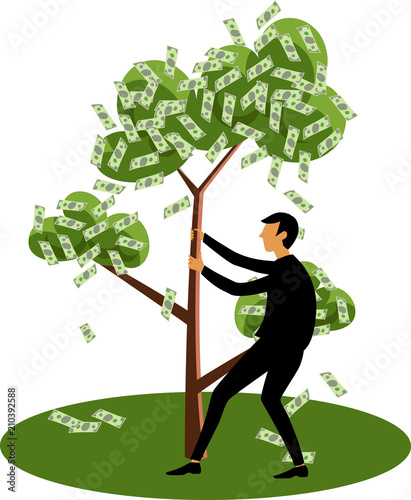 man and money tree photo